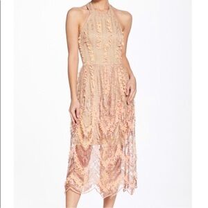 Dress The Population Valerie Halter Top Scoop Back Aline Floral Lace Midi XS